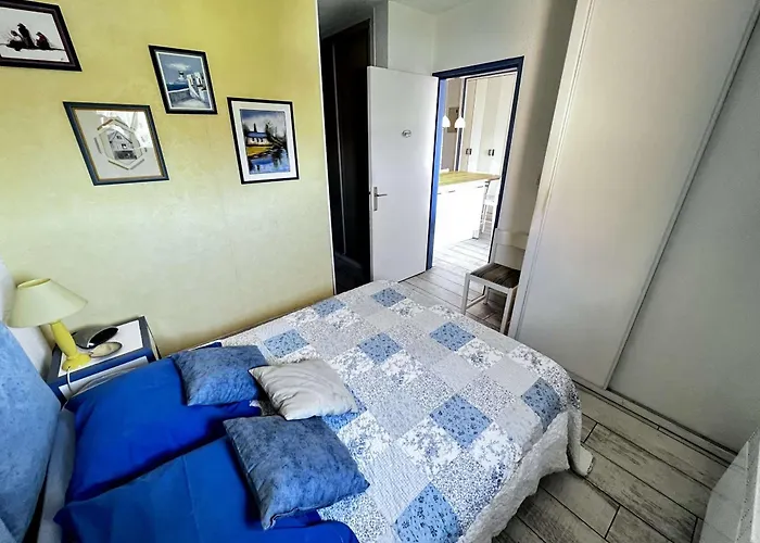 Appartamento T2 Avec Piscine Et Parking, Animaux Admis - Fr-1-702-75 Agde